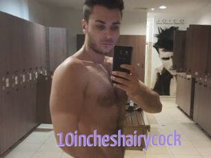 10incheshairycock