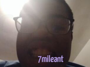 7mileant