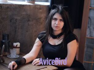 AviceBird