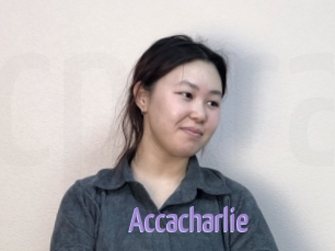 Accacharlie