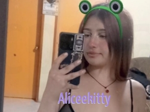 Aliceekitty