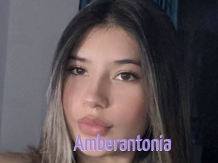 Amberantonia