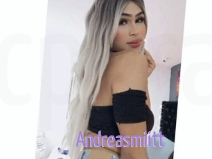 Andreasmiitt