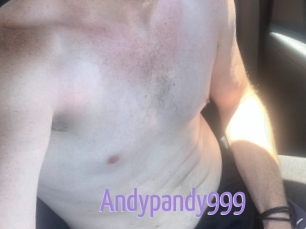 Andypandy999