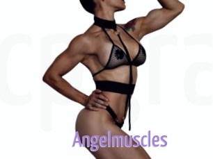 Angelmuscles