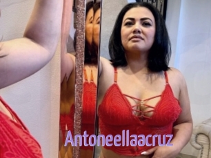 Antoneellaacruz