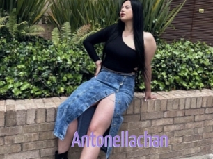 Antonellachan