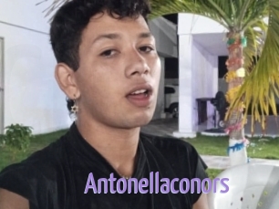 Antonellaconors