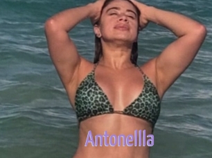 Antonellla