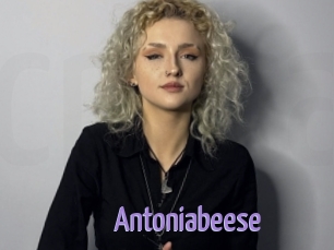 Antoniabeese