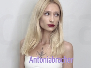 Antoniabracher