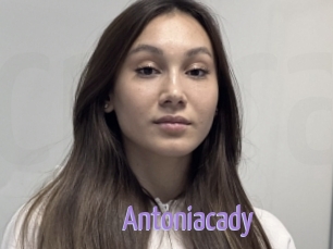 Antoniacady