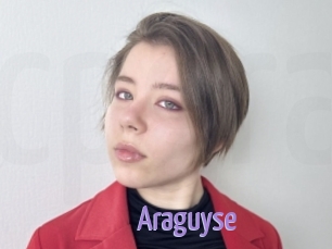 Araguyse