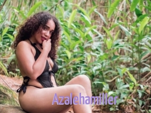 Azalehamiller