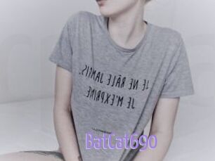 BatCat690