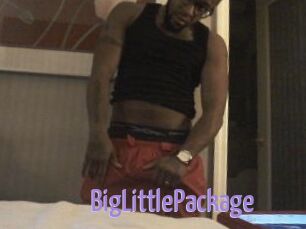 BigLittlePackage