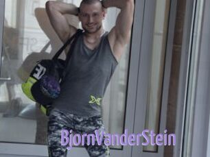 BjornVanderStein