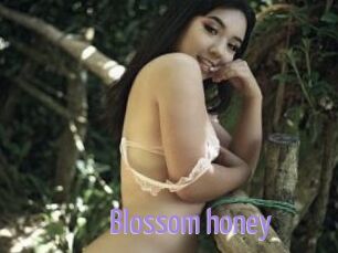 Blossom_honey