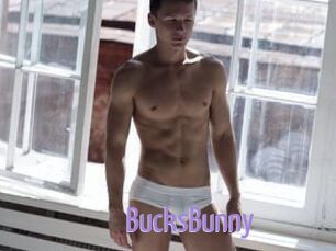 BucksBunny