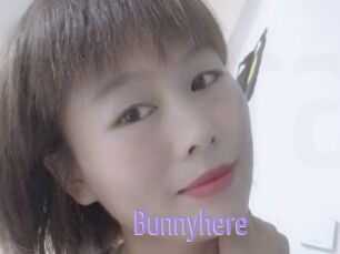 Bunnyhere