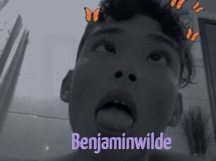 Benjaminwilde