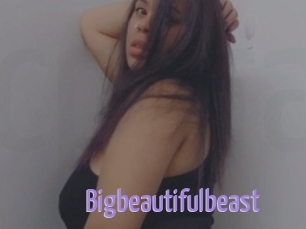 Bigbeautifulbeast