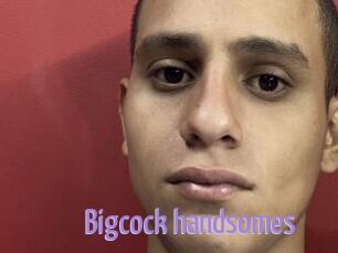 Bigcock_handsomes