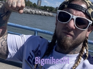 Bigmikesfit