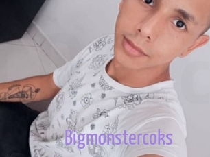 Bigmonstercoks