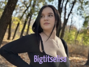 Bigtitselisa