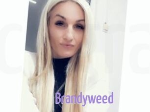 Brandyweed