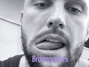 Brunopontes