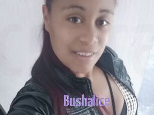 Bushalice