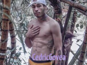 CedricGovea