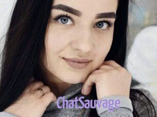 ChatSauvage