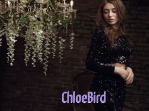 ChloeBird