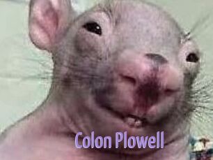 Colon_Plowell