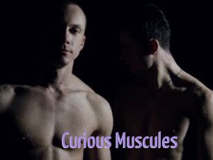 Curious_Muscules