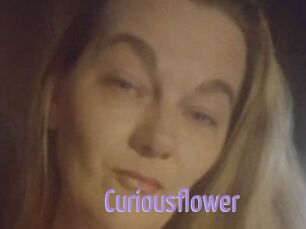 Curiousflower