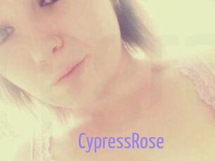 Cypress_Rose