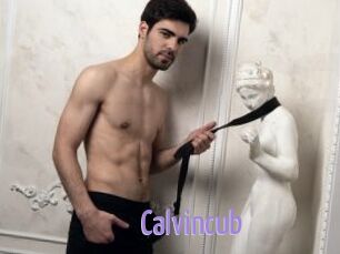 Calvincub