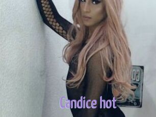 Candice_hot