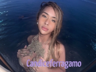 Candiceferragamo