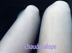 Chaudesalope