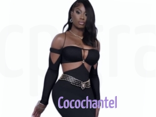 Cocochantel