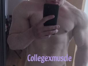 Collegexmuscle