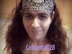 Cottontail28