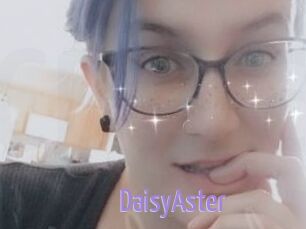 DaisyAster