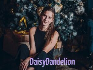 DaisyDandelion