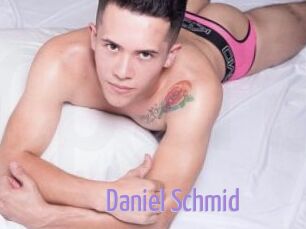 Daniel_Schmid